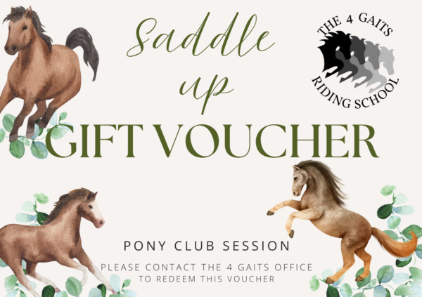 Pony Club Session