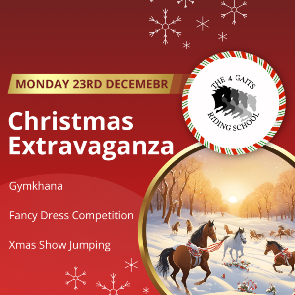 Christmas Extravaganza  Monday 23rd - December 2024