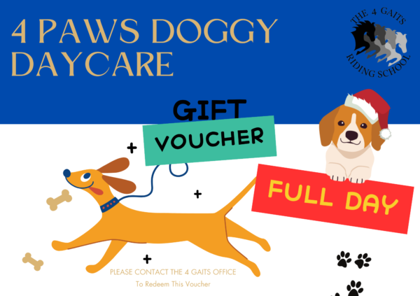 4 Paws Doggy DayCare Full Day Voucher