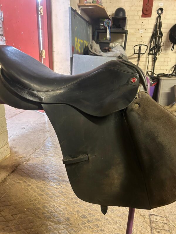 Albian Saddle (Jumping Saddle)