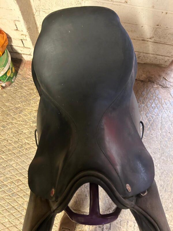 Albian Saddle (Jumping Saddle) - Image 4